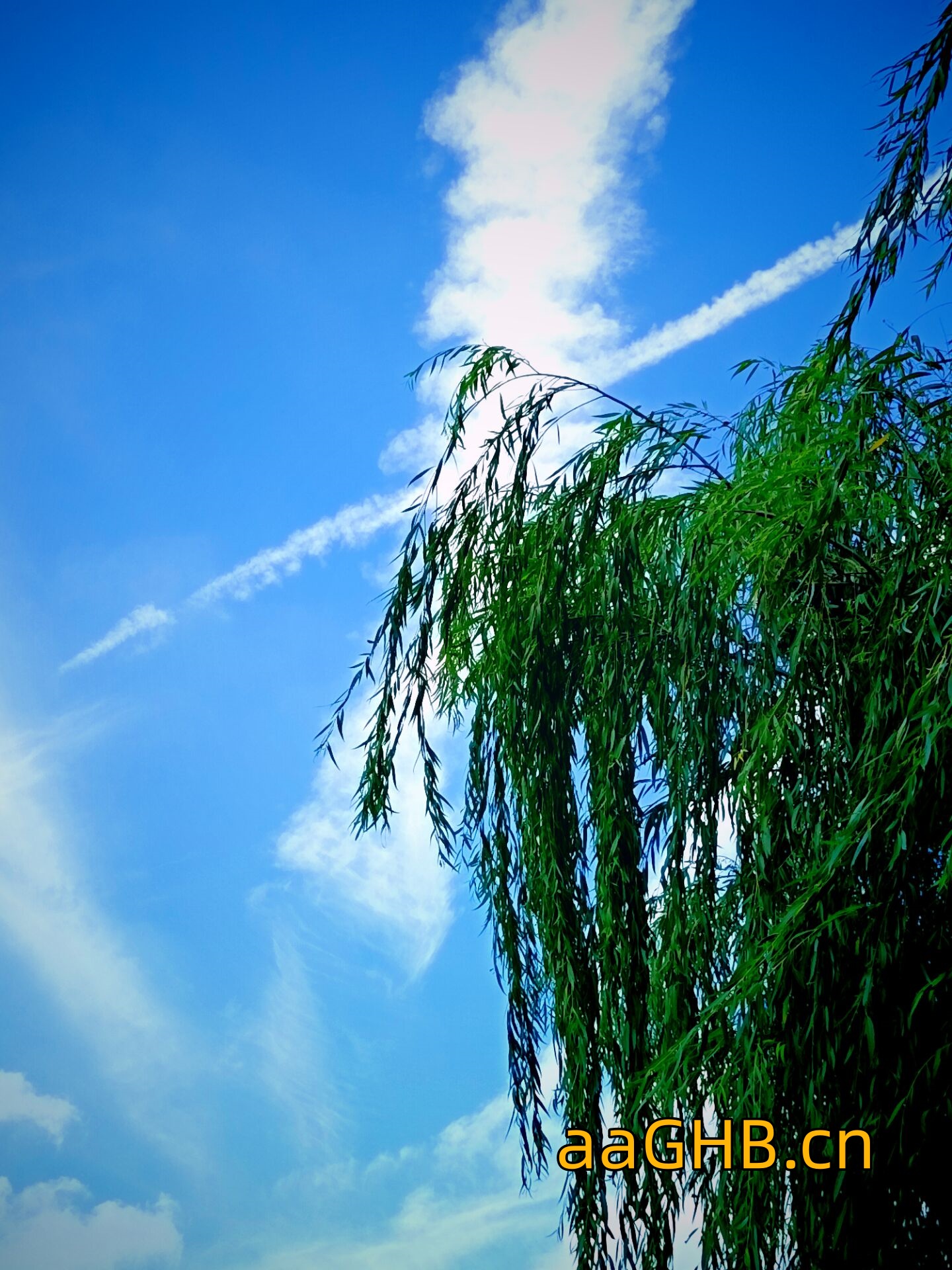 aaGHB.cn-2987.jpg